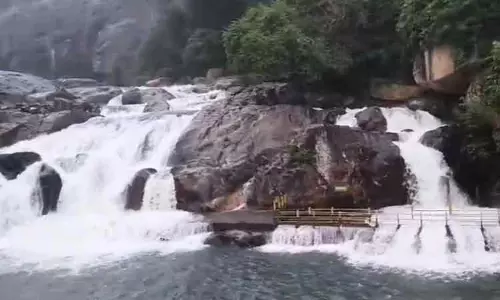 மணிமுத்தாறு அருவியில் குறையாத வெள்ளப்பெருக்கு: இரண்டாவது நாளாக குளிக்கத் தடை