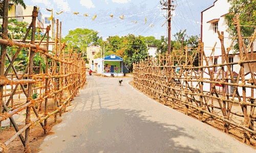 பாலமேடு, அலங்காநல்லூரில் ஜல்லிக்கட்டு போட்டிக்கான ஏற்பாடுகள் விறுவிறுப்பு