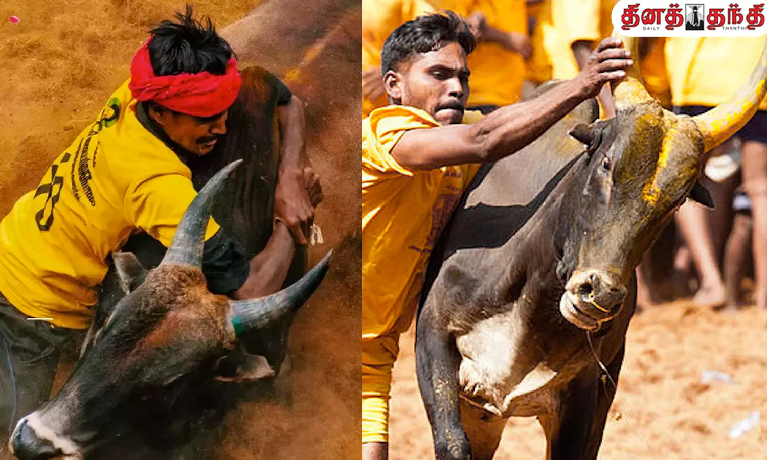 பொங்கல் பண்டிகை..வீர விளையாட்டான ஜல்லிக்கட்டு நடைபெறும் இடங்கள்...!