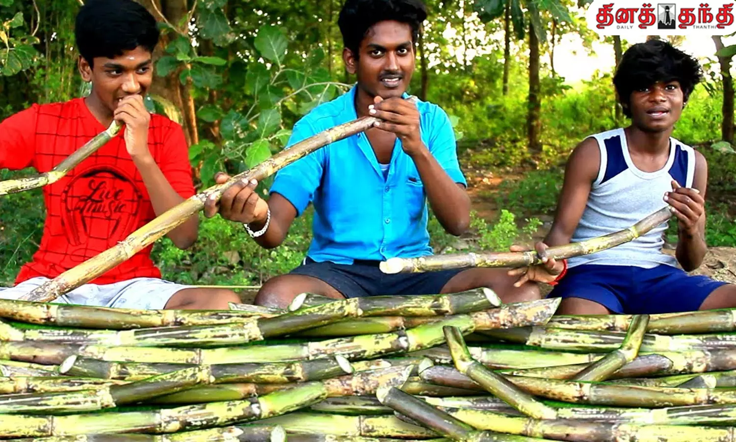பொங்கல் பண்டிகை..கரும்பை கடித்து சாப்பிடுவதால் இவ்வளவு நன்மைகளா?
