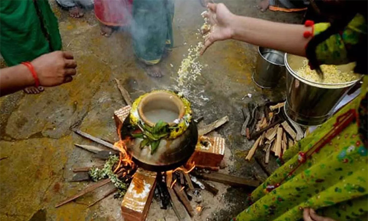 பொங்கல் பண்டிகை: வீட்டில் பொங்கல் வைக்க நல்ல நேரம்