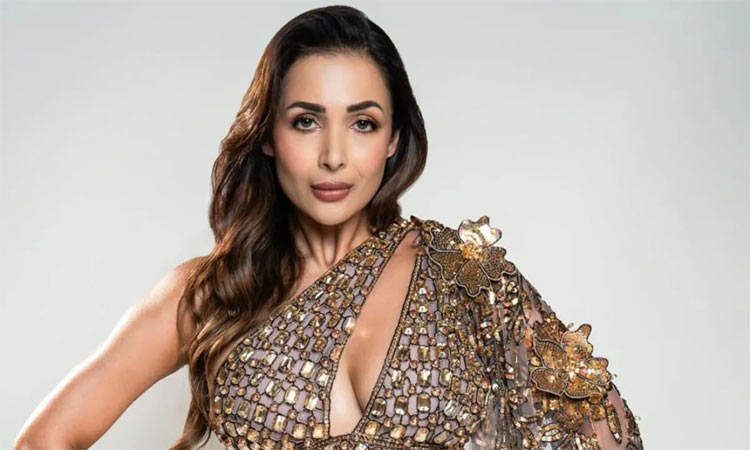 என் இளமைக்கு  என்ன காரணம் தெரியுமா?  -  மலைக்கா அரோரா பதில்