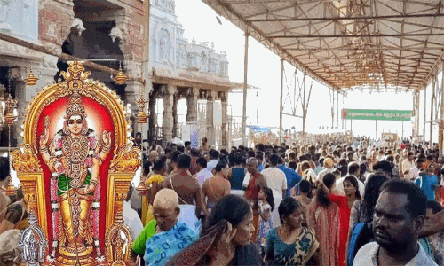 பொங்கல் பண்டிகையையொட்டி, திருச்செந்தூரில் குவிந்த பக்தர்கள்.. நீண்ட நேரம் காத்திருந்து தரிசனம்