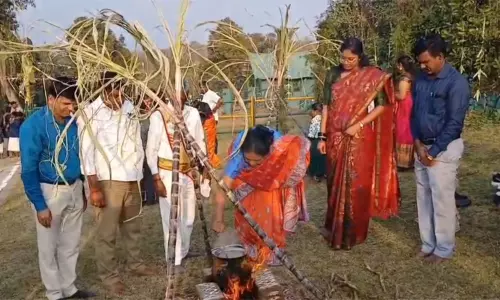 முதுமலை யானைகள் முகாமில் நடைபெற்ற பொங்கல் விழாவில் கலந்துகொண்ட கலெக்டர்