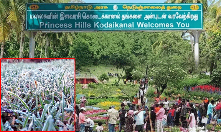 கொடைக்கானலில் மீண்டும் உறைபனி - நடுங்க வைத்த குளிரால் சுற்றுலா பயணிகள் அவதி