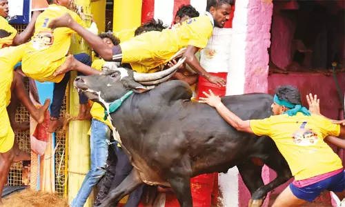 இன்றைய முக்கிய செய்திகள்.. சில வரிகளில்.. 17-01-2026