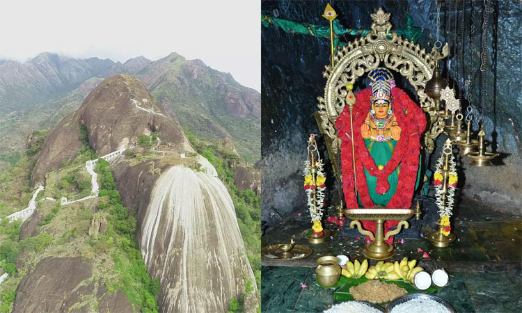 தைப்பூச திருவிழா... தோரணமலை முருகன் கோவிலில் நடைபெறும் நிகழ்ச்சிகள் விவரம்