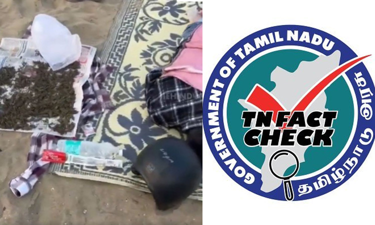 தமிழக கடற்கரையில் கஞ்சா செடி காய வைப்பா? - தகவல் சரிபார்ப்பகம் விளக்கம்