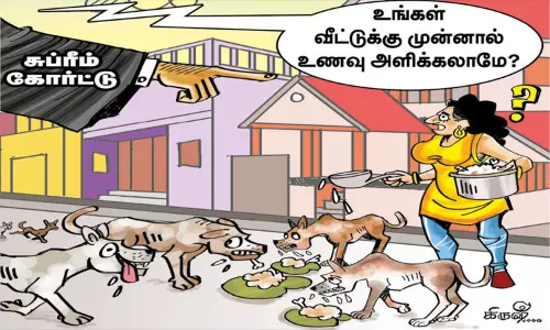 தெருநாய் தொல்லைக்கு இது முற்றுப்புள்ளி அமைக்குமா?