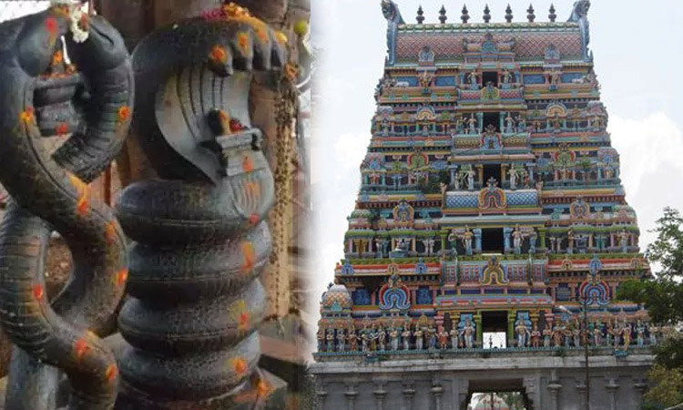 தமிழ் நாட்டின் பிரபல ராகு கேது தோஷ நிவர்த்தி ஸ்தலங்கள்