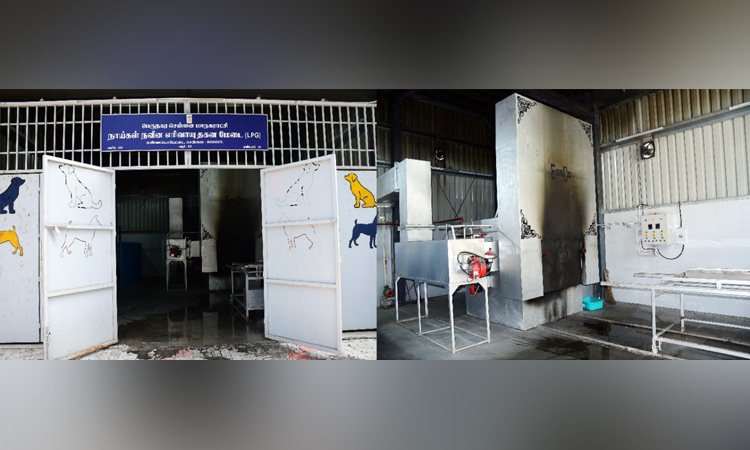 கண்ணம்மாபேட்டையில் இதுவரை 439 இறந்த செல்லப் பிராணிகள் தகனம்: சென்னை மாநகராட்சி தகவல்