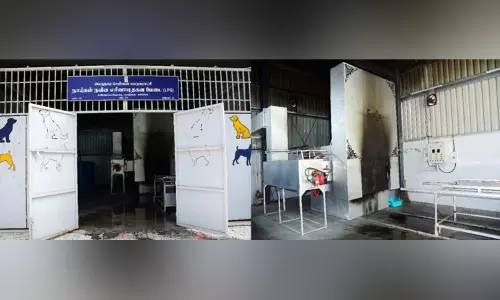 கண்ணம்மாபேட்டையில் இதுவரை 439 இறந்த செல்லப் பிராணிகள் தகனம்: சென்னை மாநகராட்சி தகவல்