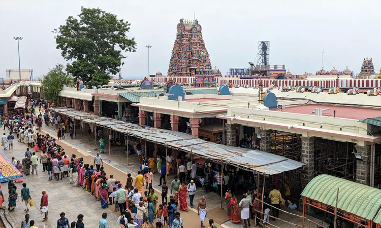 பழனி முருகன் கோவிலில் தைப்பூச திருவிழா: 26-ந்தேதி கொடியேற்றத்துடன் தொடக்கம்