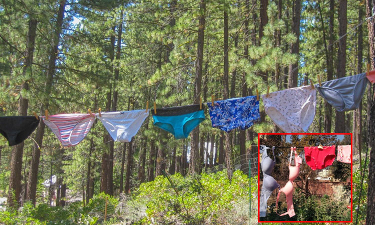 பெண்களின் உள்ளாடைகளாக பார்த்து திருடி, அணிந்து, செல்பி எடுத்த நபர்