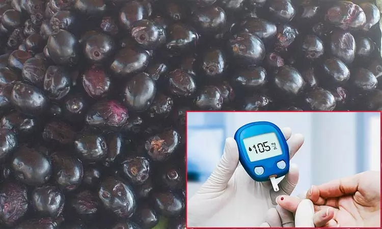 சர்க்கரை நோயாளிகளுக்கு வரப்பிரசாதம் நாவல் பழம் சர்க்கரை நோயாளிகளுக்கு வரப்பிரசாதம் நாவல் பழம்