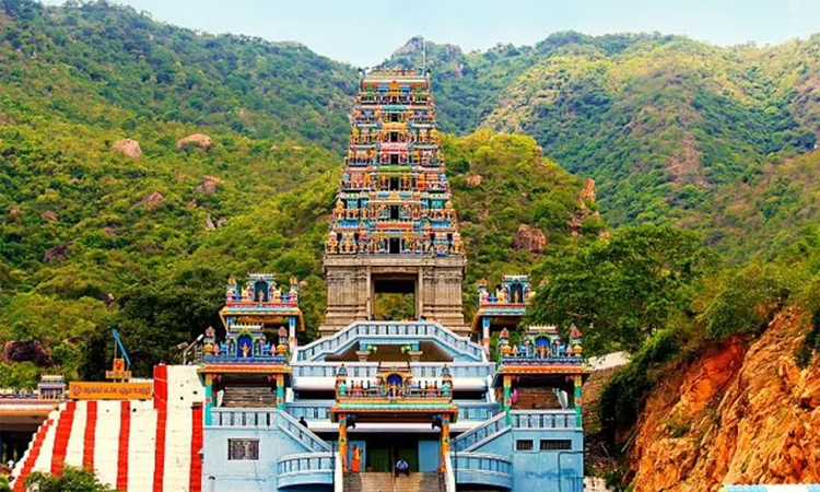 தைப்பூச திருவிழா: மருதமலை முருகன் கோவிலுக்கு பக்தர்கள் வாகனங்களில் செல்ல தடை