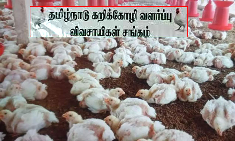 கறிக்கோழி வளர்ப்பு தொழில்: முத்தரப்பு பேச்சு வார்த்தை நடத்த அரசுக்கு கோரிக்கை