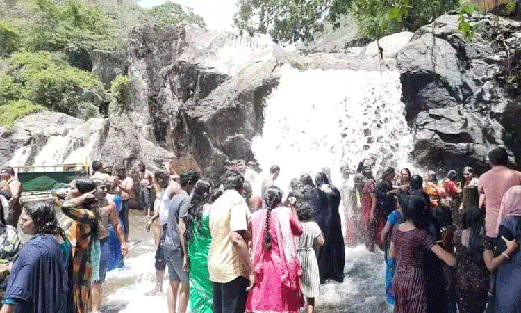 புலிகள் கணக்கெடுப்பு பணி நிறைவு: மணிமுத்தாறு, அகஸ்தியர் அருவிகளுக்கு செல்ல அனுமதி புலிகள் கணக்கெடுப்பு பணி நிறைவு: மணிமுத்தாறு, அகஸ்தியர் அருவிகளுக்கு செல்ல அனுமதி