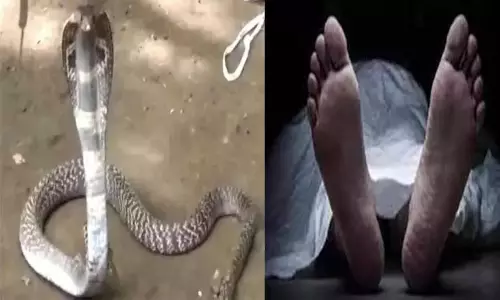 பாம்பு கடித்து அஞ்சலக ஊழியர் உயிரிழப்பு பாம்பு கடித்து அஞ்சலக ஊழியர் உயிரிழப்பு