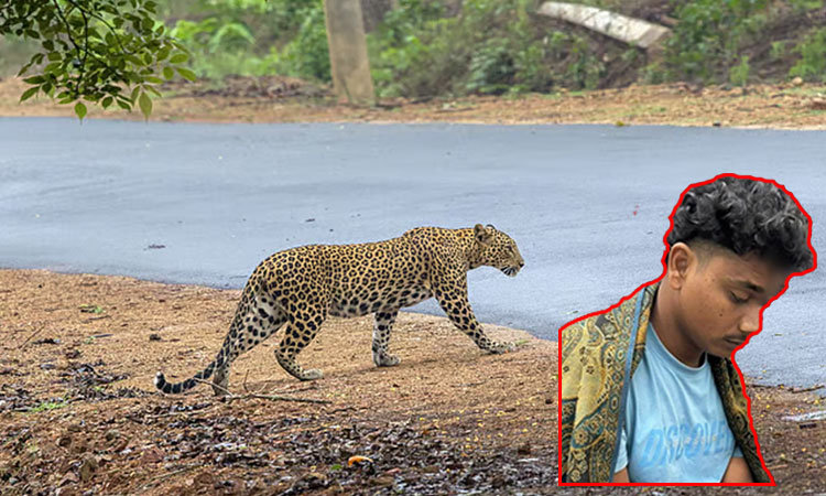 தாய் மீது திடீரென பாய்ந்த சிறுத்தைப்புலி; வெறும் கைகளாலேயே அடித்து கொன்ற இளைஞர்