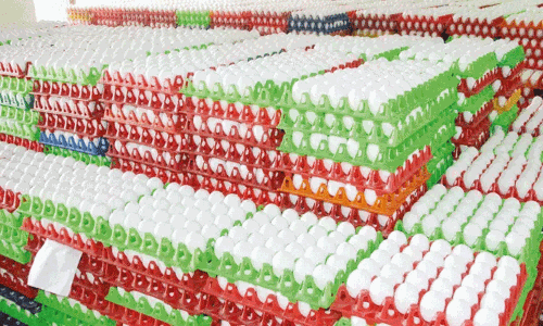 நாமக்கல் மண்டலத்தில் முட்டை விலை உயர்வு