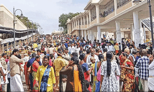 விடுமுறை தினம்: திருச்செந்தூரில் நீண்ட நேரம் காத்திருந்து பக்தர்கள் தரிசனம்