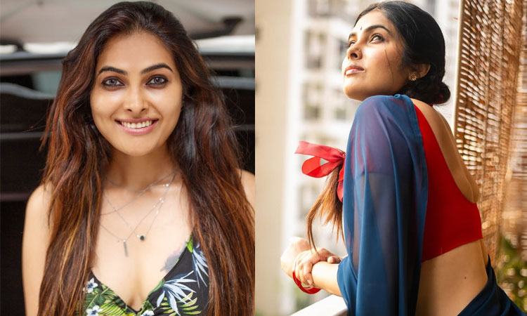 “2-3 ஆண்டுகளில் விவாகரத்து… நண்பர்களை பார்த்து பயந்தேன்” - நடிகை திவி வாத்யா