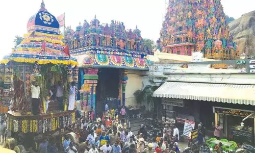 தைப்பூச திருவிழா: திருப்பரங்குன்றம் முருகன் கோவிலில் தேரோட்டம் தைப்பூச திருவிழா: திருப்பரங்குன்றம் முருகன் கோவிலில் தேரோட்டம்