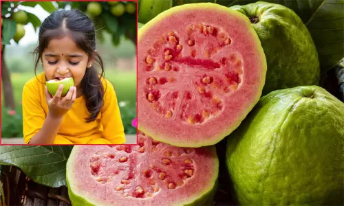 குளிர்காலத்தில் கொய்யாப்பழம்... இத்தனை நன்மைகளா..?